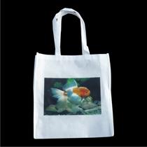 Product Preview Photo